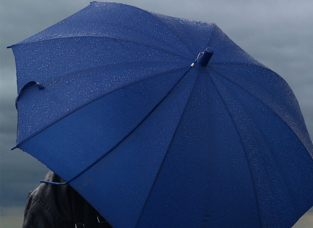 Umbrella